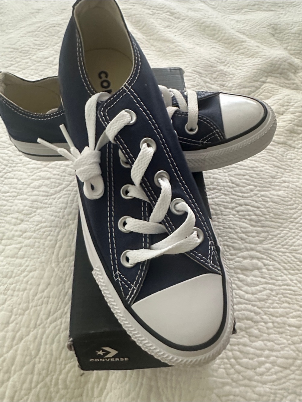 Converse Navy and White Low-Top Canvas Sneakers